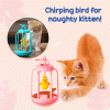Tumbler Interactive Toys For Cats Tumbler Interactive Toys For Cats